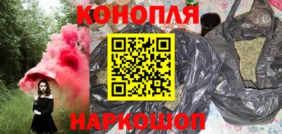 прущие грибы Будённовск