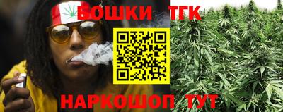 прущие грибы Будённовск