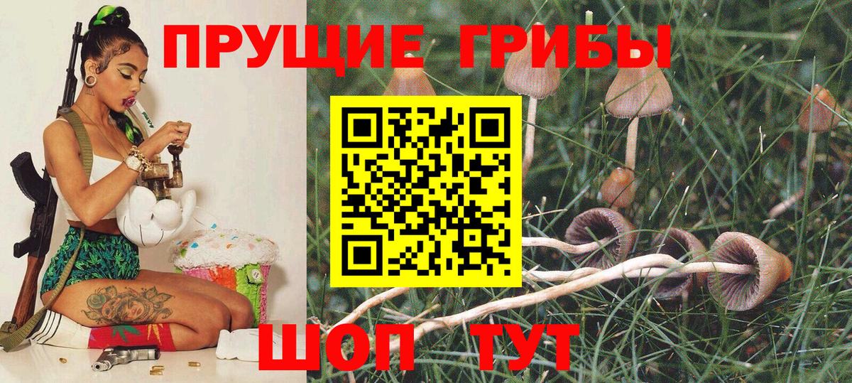 Псилоцибиновые грибы ЛСД Усинск